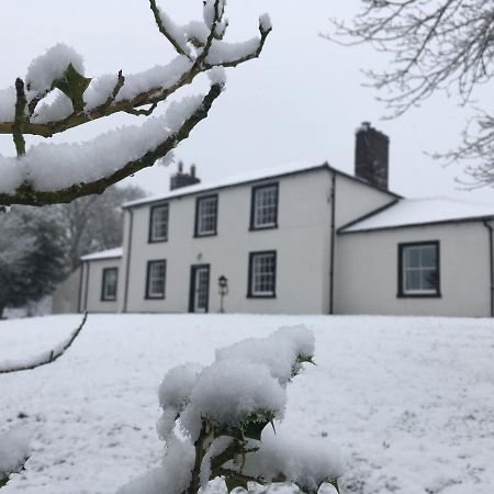 Lanercost Country B&B 브램프톤 외부 사진