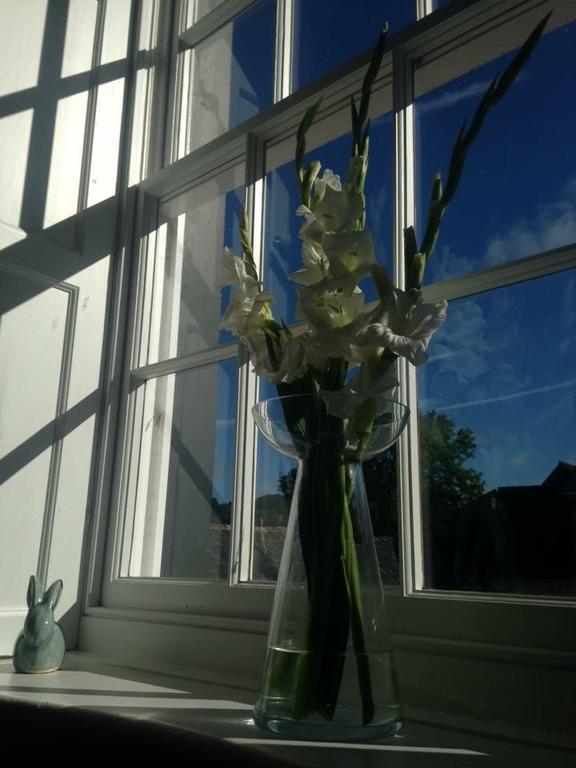 Lanercost Country B&B 브램프톤 외부 사진
