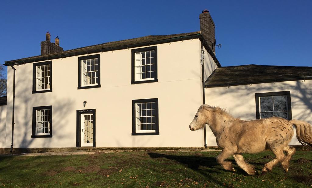 Lanercost Country B&B 브램프톤 외부 사진