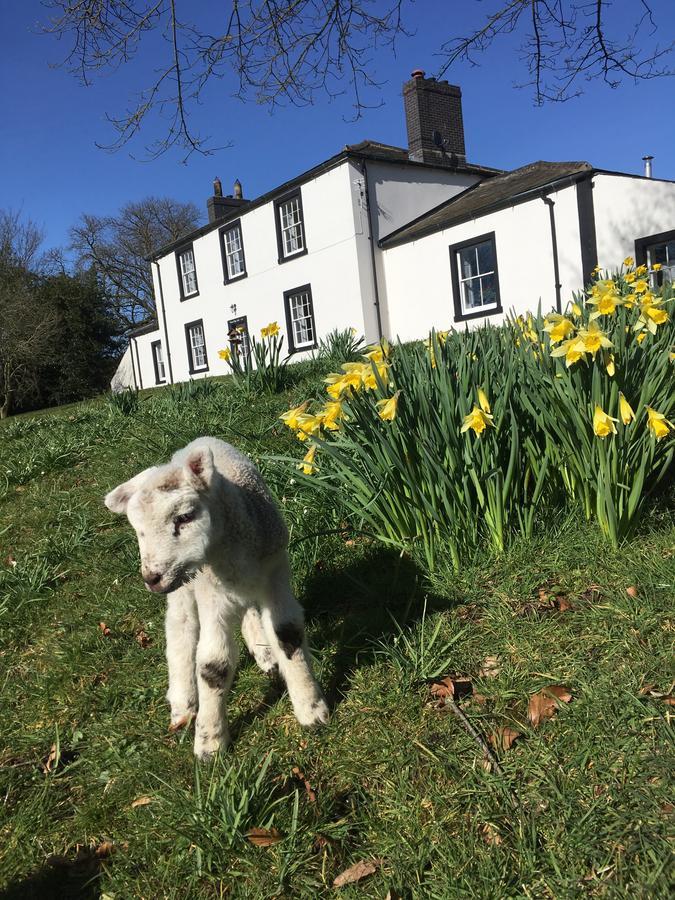 Lanercost Country B&B 브램프톤 외부 사진